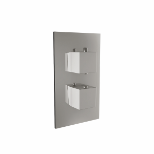 Twin Square Concealed Thermostatic Shower Valve (1 Outlet)